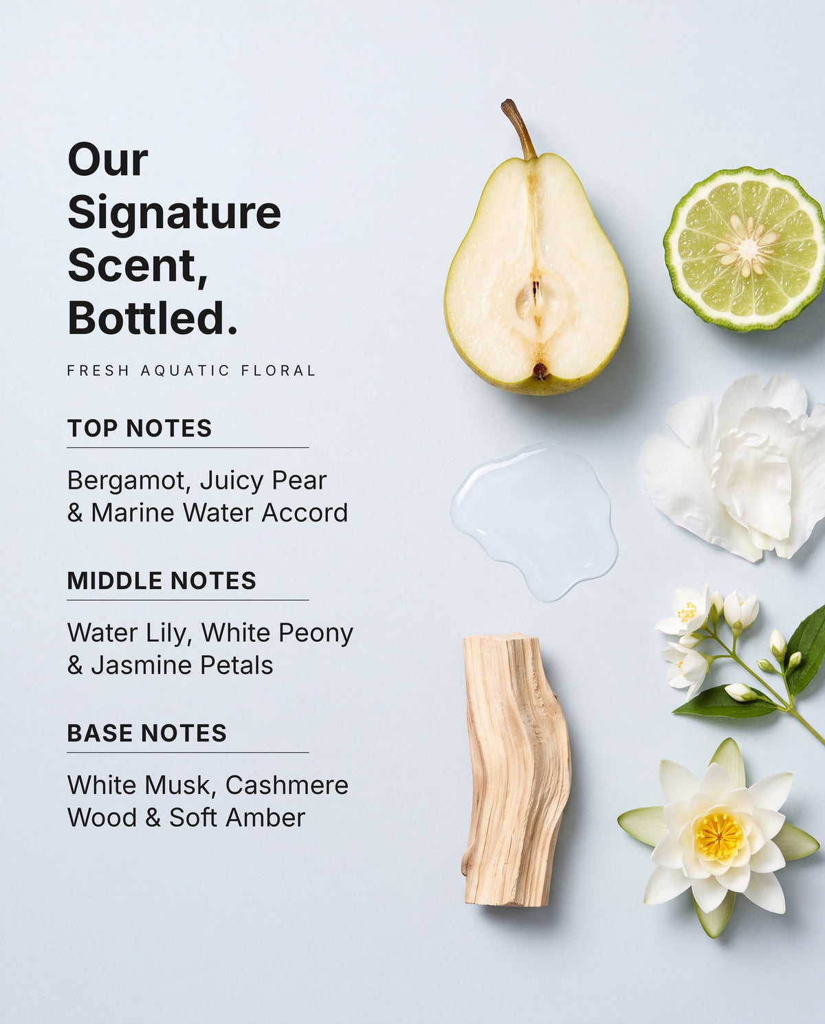 Hydra Bloom Shampoo signature scent