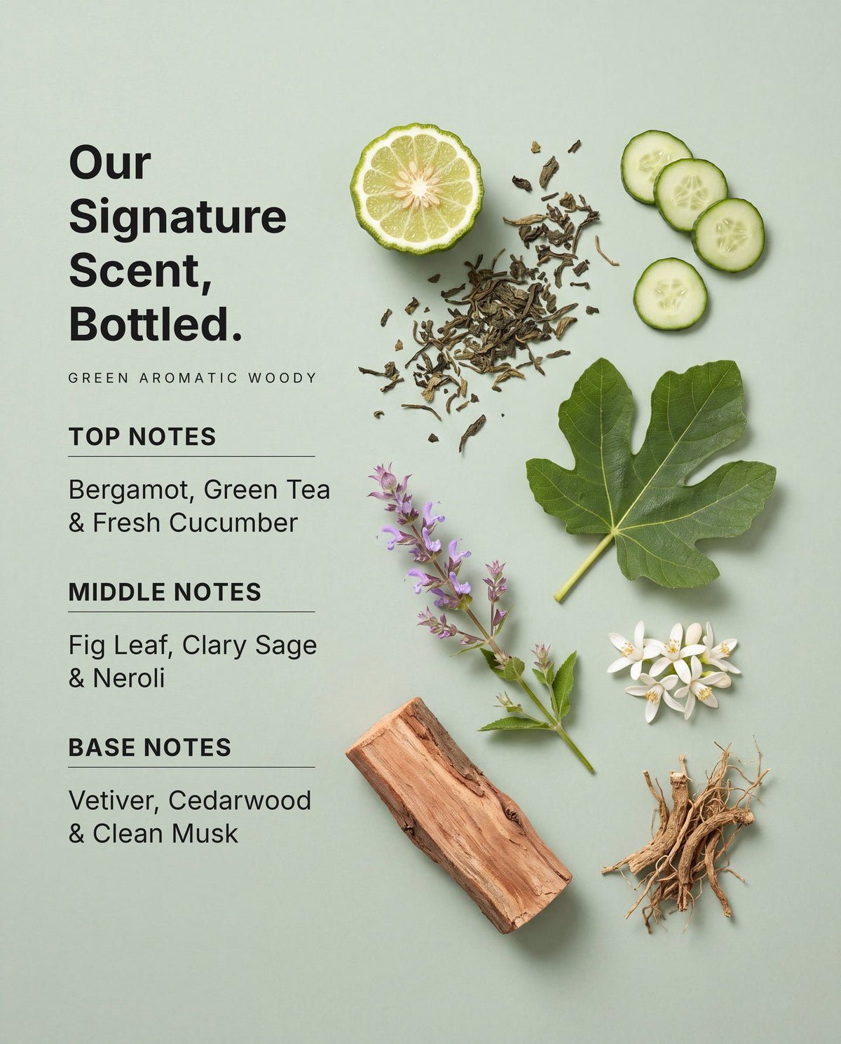 Pure Balance Shampoo signature scent