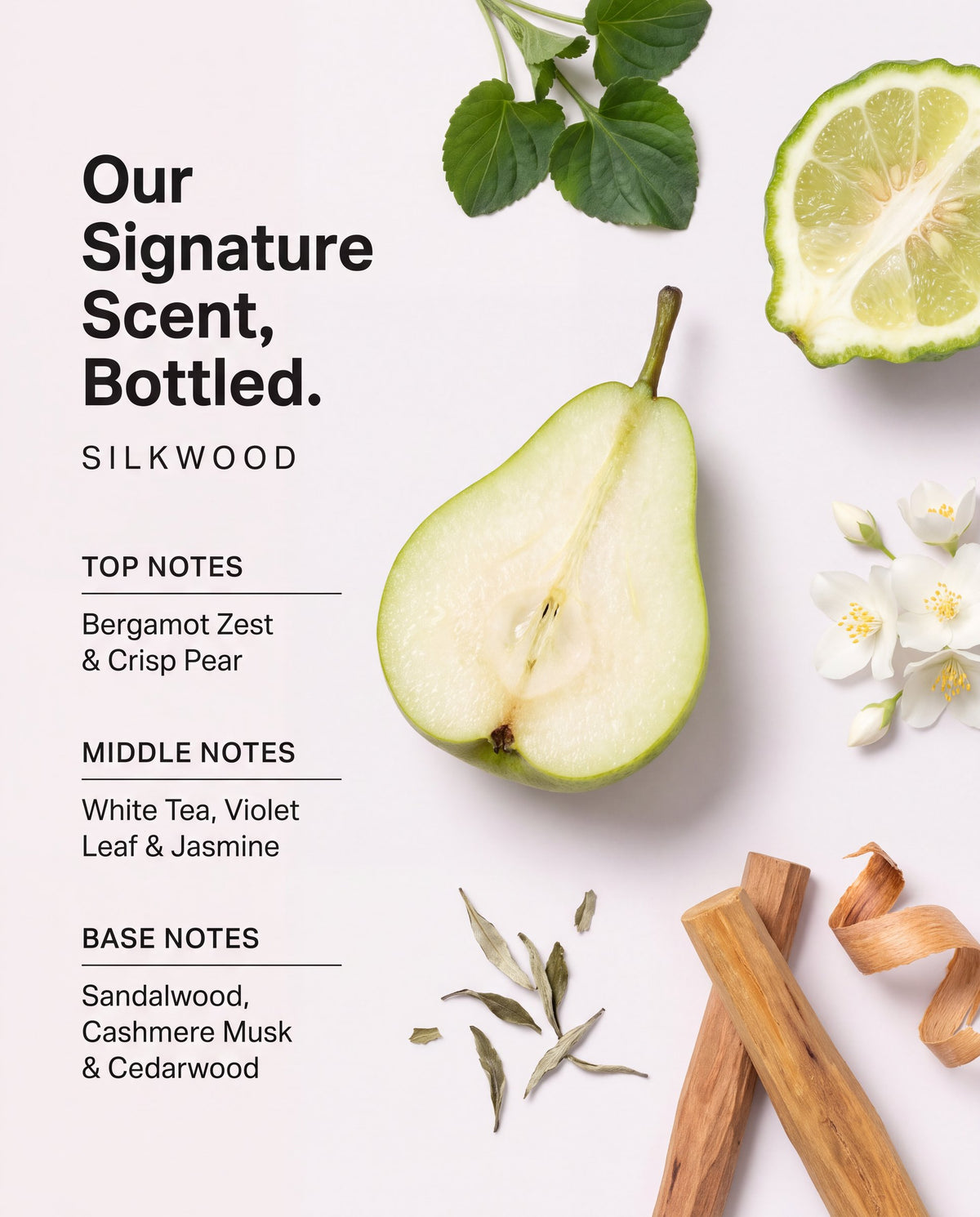 Silkwood signature scent notes: bergamot, pear, white tea, jasmine, sandalwood