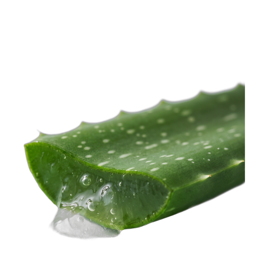 Aloe Barbadensis Leaf Extract 5%